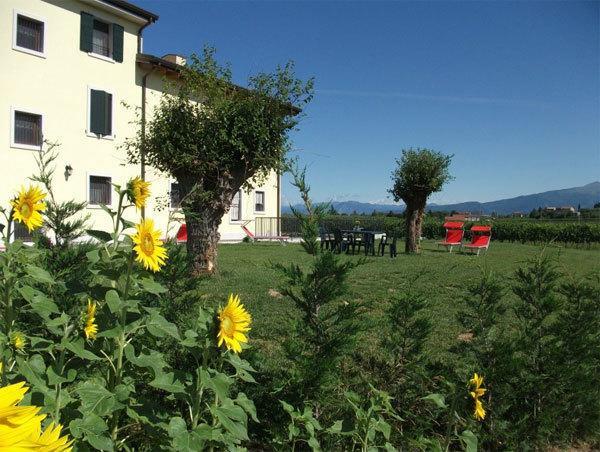 Готель Agriturismo Anna Caterina Кастельнуово-дель-Гарда Екстер'єр фото